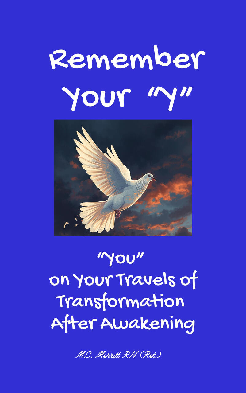 "You" on Your Travels of Transformation After Awakening